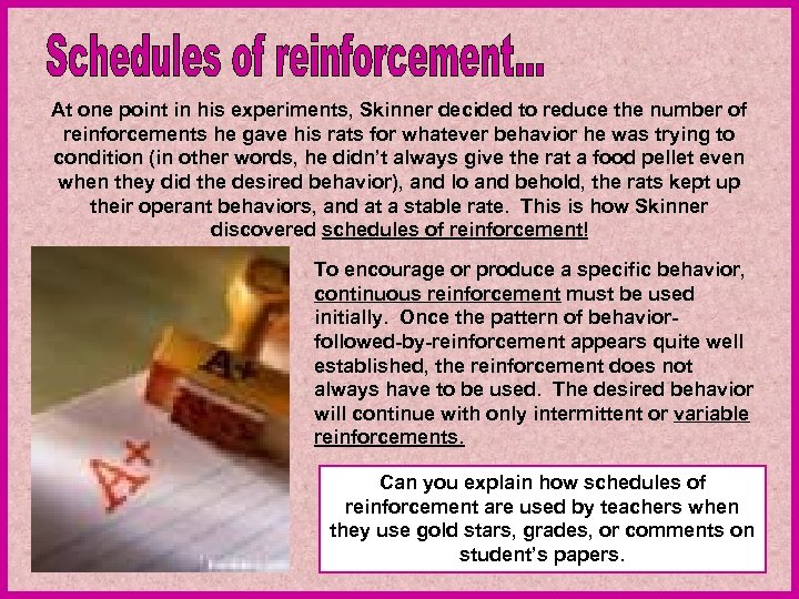 At one point in his experiments, Skinner decided to reduce the number of reinforcements