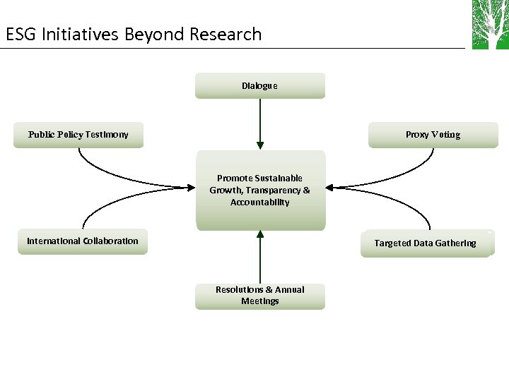 ESG Initiatives Beyond Research Dialogue Public Policy Testimony Proxy Voting Promote Sustainable Improve Performance