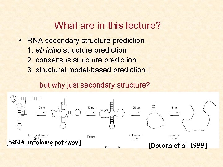 What are in this lecture? • RNA secondary structure prediction 1. ab initio structure