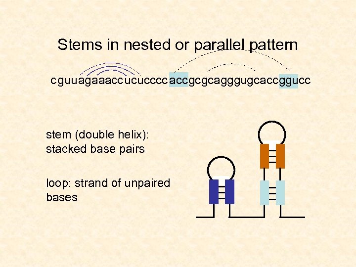 Stems in nested or parallel pattern c guu agaaacc ucu cccc acc gc gcagggugc