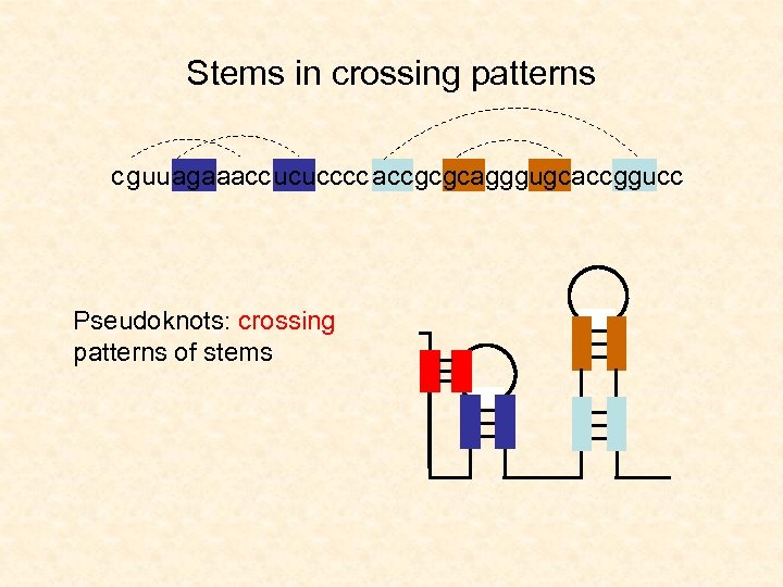 Stems in crossing patterns c guu agaaacc ucu cccc acc gc gcagggugcacc ggucc Pseudoknots: