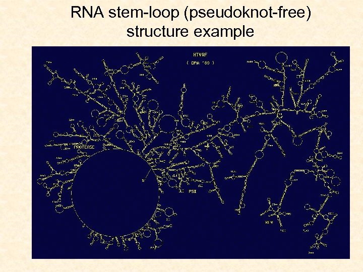 RNA stem-loop (pseudoknot-free) structure example 