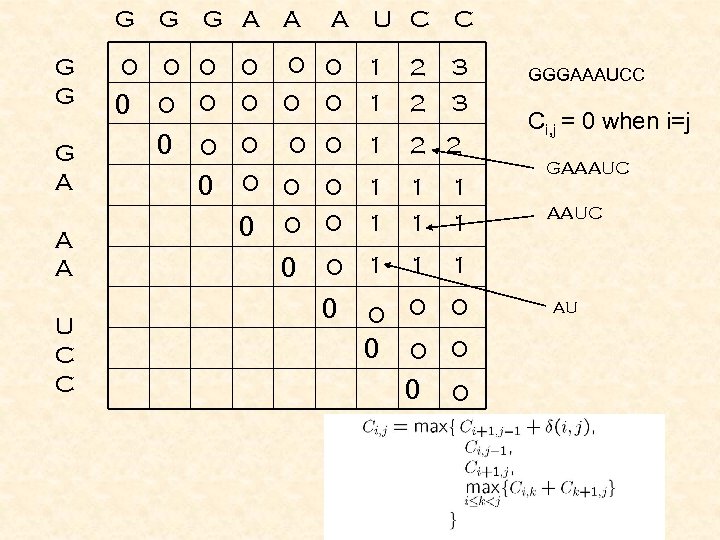 G G G A A A U C C 0 0 G A U