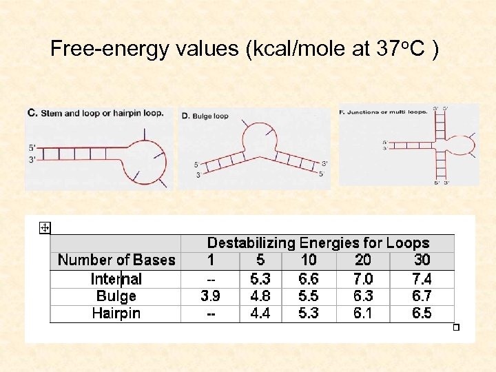 Free-energy values (kcal/mole at 37 o. C ) 