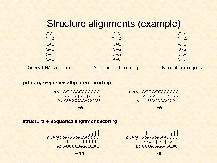 Structure alignments (example) CA G • C G • C AA G A C