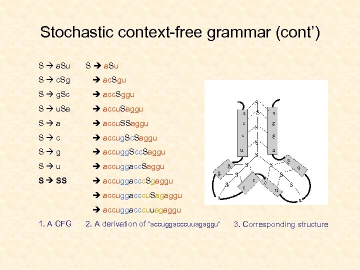 Stochastic context-free grammar (cont’) S a. Su S c. Sg ac. Sgu S g.