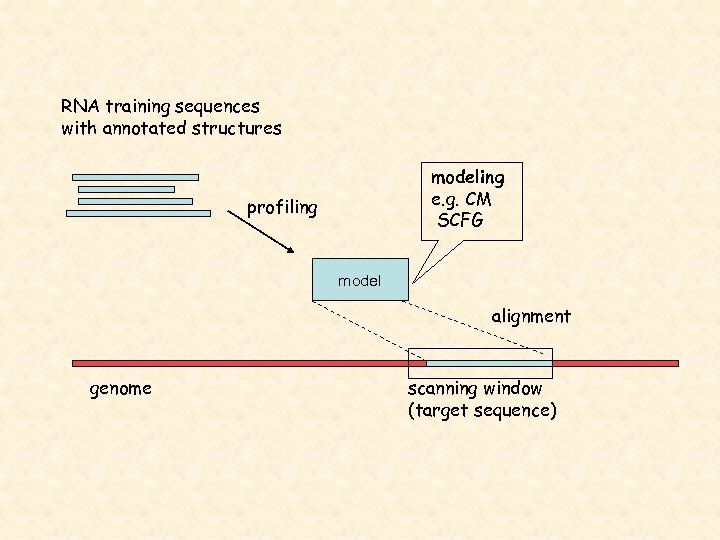 RNA training sequences with annotated structures modeling e. g. CM SCFG profiling model alignment