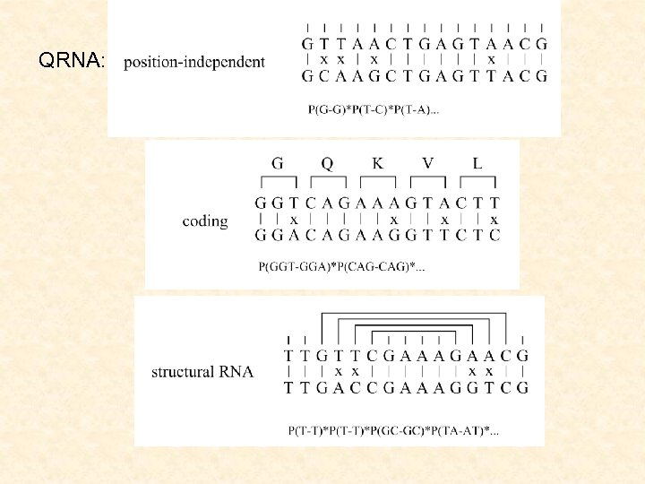 QRNA: 