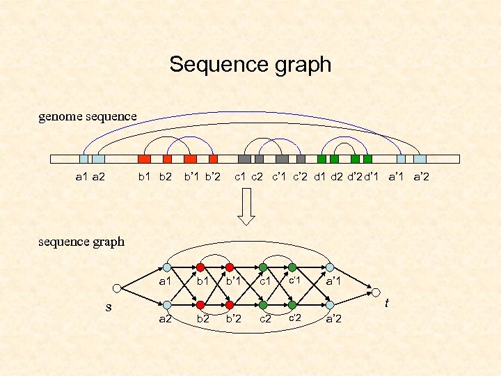 Sequence graph genome sequence a 1 a 2 b 1 b 2 b’ 1