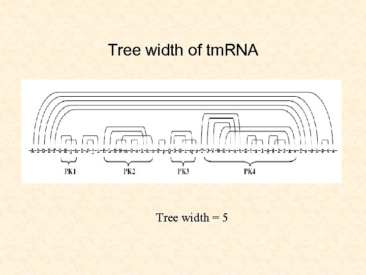 Tree width of tm. RNA Tree width = 5 