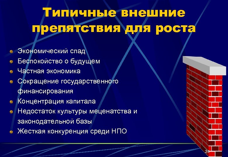 Типичные внешние препятствия для роста Экономический спад Беспокойство о будущем Частная экономика Сокращение государственного