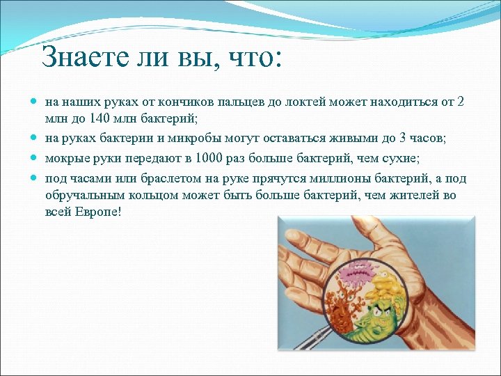 Знаете ли вы, что: на наших руках от кончиков пальцев до локтей может находиться