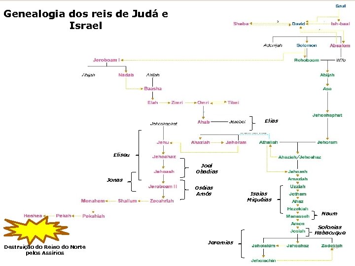 Genealogia dos reis de Judá e Israel Elias Eliseu Joel Obadias Jonas Oséias Amós