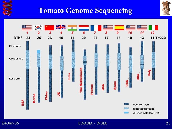 Tomato Genome Sequencing 24 -Jan-06 BINASIA - INDIA 21 