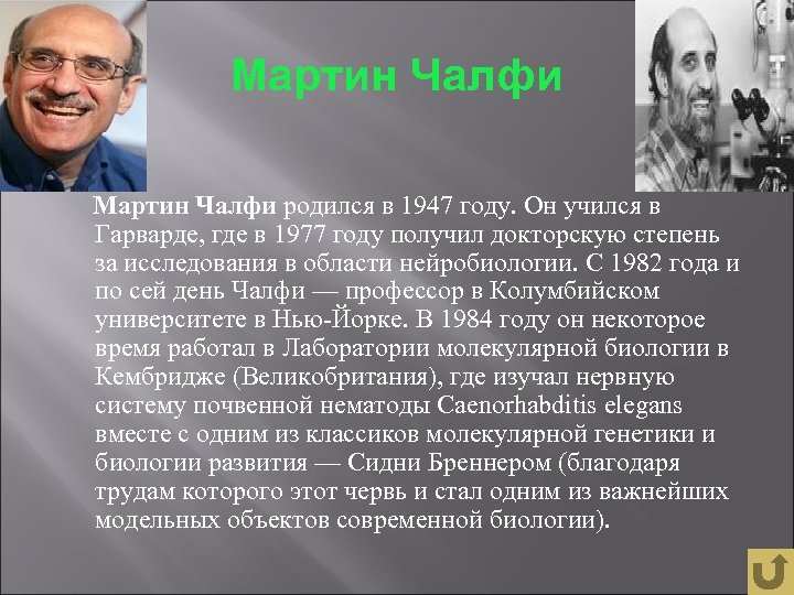 Мартин Чалфи родился в 1947 году. Он учился в Гарварде, где в 1977 году