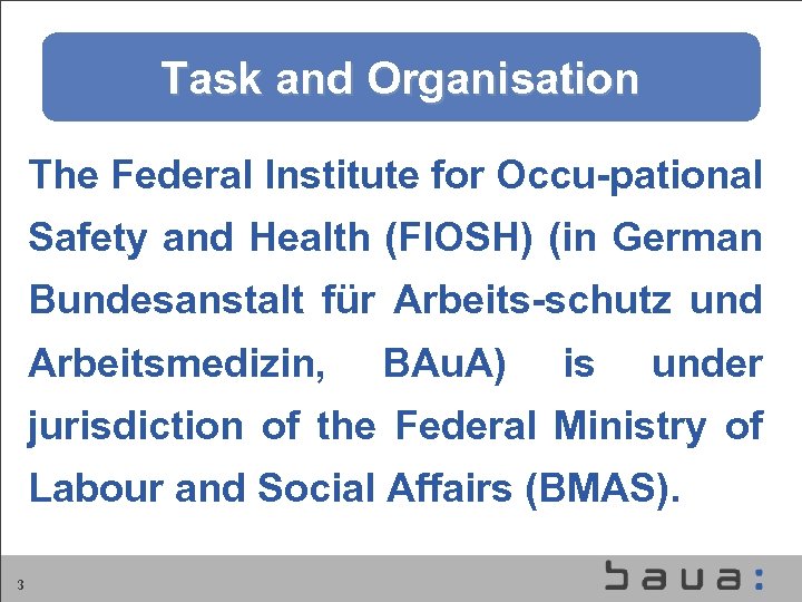 Task and Organisation The Federal Institute for Occu-pational Safety and Health (FIOSH) (in German