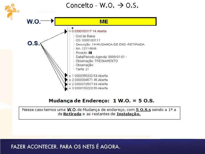 Conceito – W. O. S. 