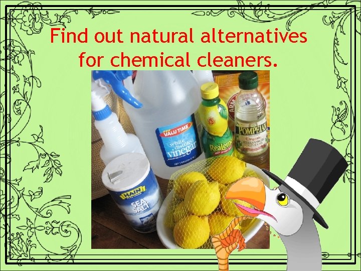 Find out natural alternatives for chemical cleaners. 