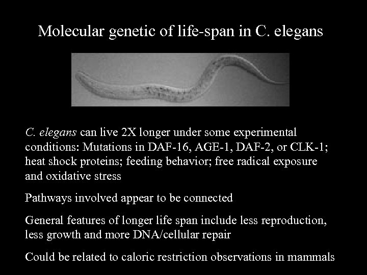 Molecular genetic of life-span in C. elegans can live 2 X longer under some