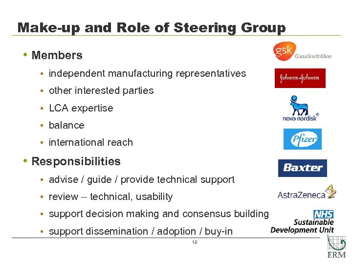Make-up and Role of Steering Group • Members • independent manufacturing representatives • other