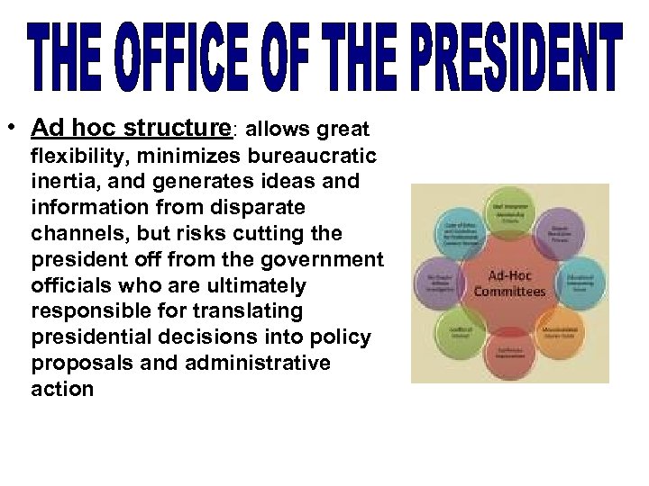  • Ad hoc structure: allows great flexibility, minimizes bureaucratic inertia, and generates ideas