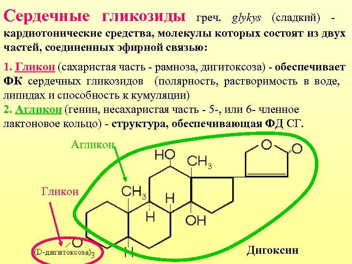 Сердечные гликозиды это