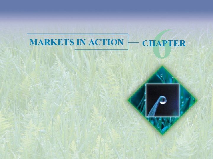 MARKETS IN ACTION 6 CHAPTER 