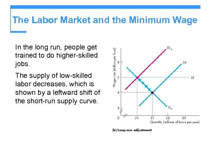 The Labor Market and the Minimum Wage In the long run, people get trained
