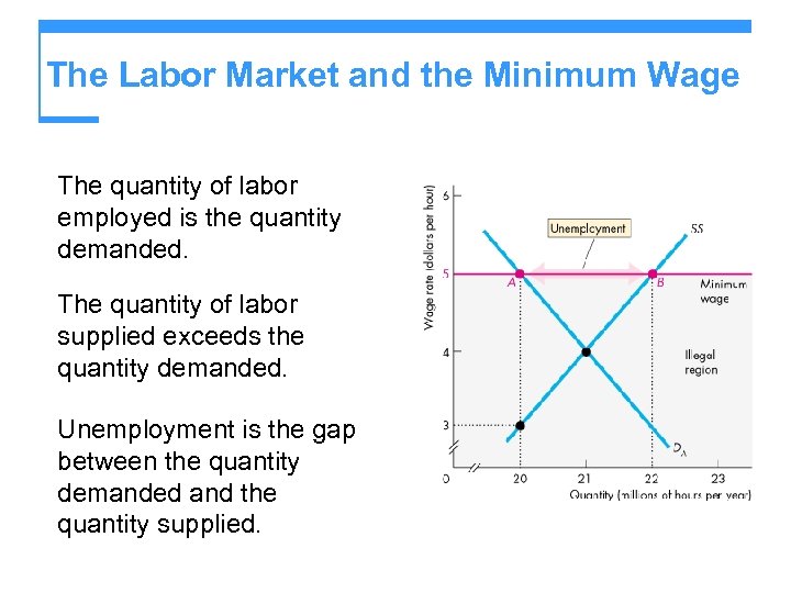 The Labor Market and the Minimum Wage The quantity of labor employed is the