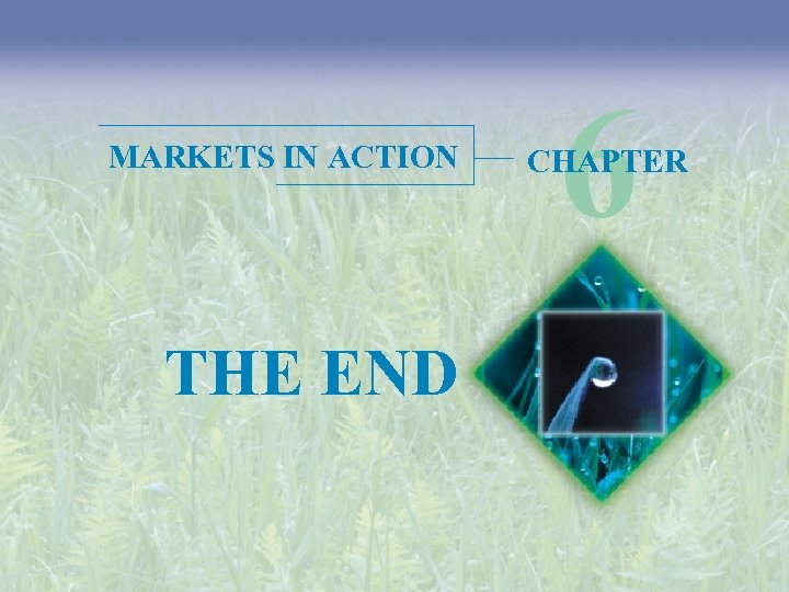 MARKETS IN ACTION THE END 6 CHAPTER 