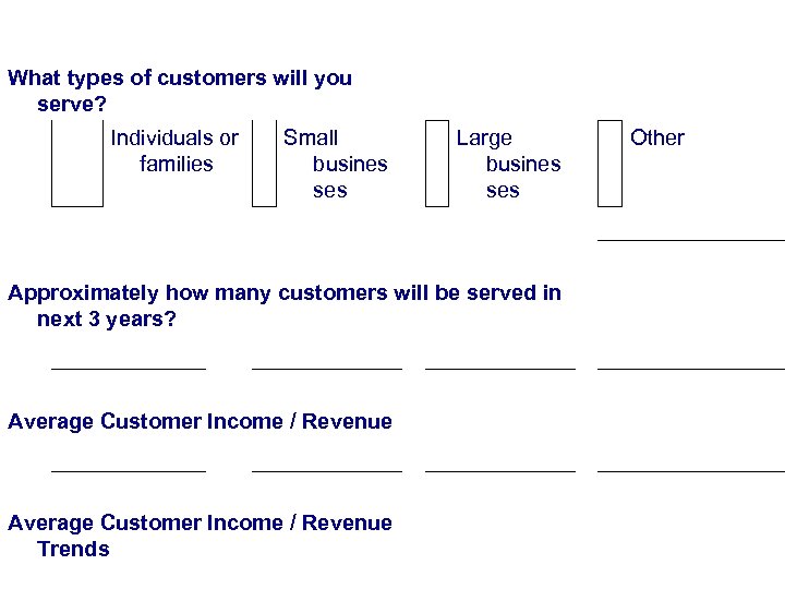  Customer What types of customers will you serve? Individuals or Small Large Other