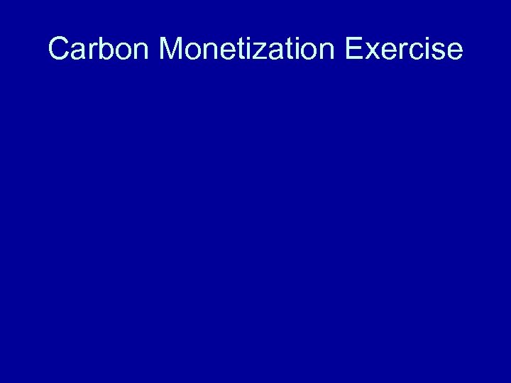 Carbon Monetization Exercise 