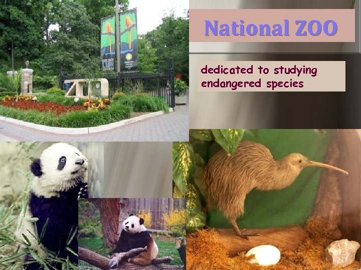 National ZOO dedicated to studying endangered species 