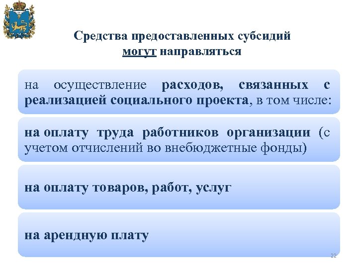 Средства предоставленных субсидий могут направляться на осуществление расходов, связанных с реализацией социального проекта, в