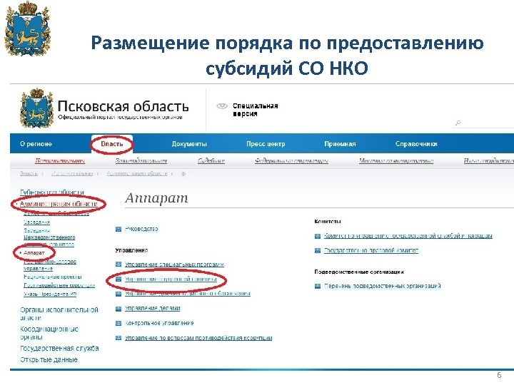 Размещение порядка по предоставлению субсидий СО НКО 6 