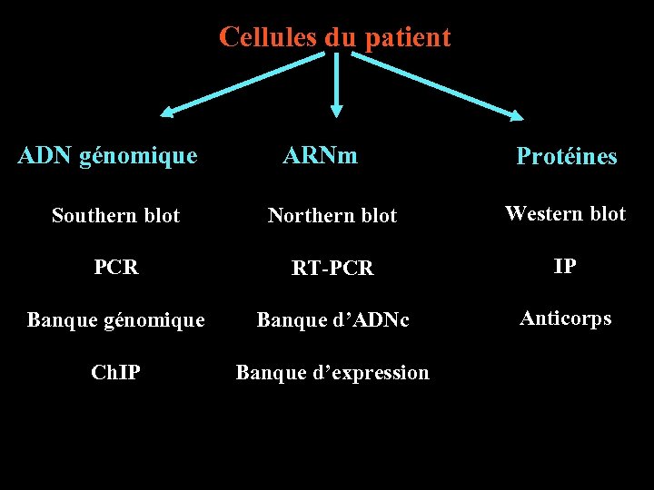 Cellules du patient ADN génomique ARNm Protéines Southern blot Northern blot Western blot PCR