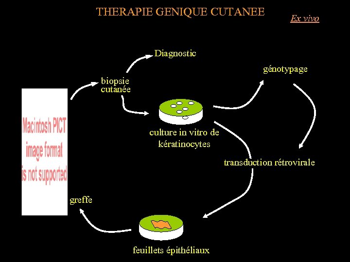 THERAPIE GENIQUE CUTANEE Ex vivo Diagnostic génotypage biopsie cutanée culture in vitro de kératinocytes