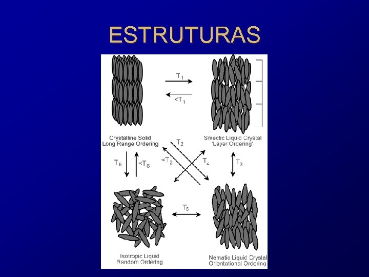 ESTRUTURAS 
