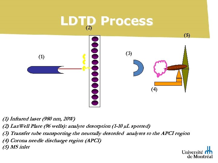 LDTD Process (2) (5) (1) (3) (4) (1) Infrared laser (980 nm, 20 W)