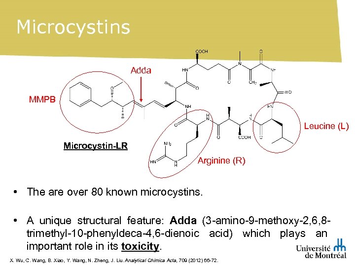 Microcystins Adda MMPB Leucine (L) Microcystin-LR Arginine (R) • The are over 80 known