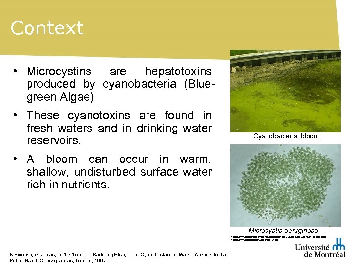 Context • Microcystins are hepatotoxins produced by cyanobacteria (Bluegreen Algae) • These cyanotoxins are