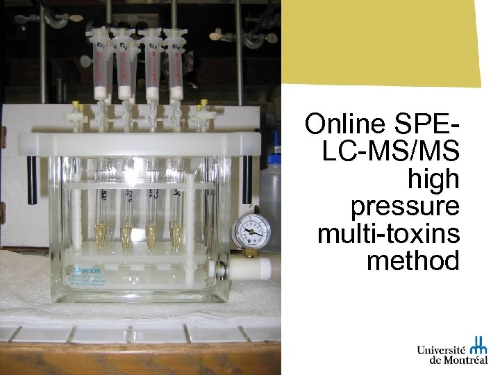 Online SPELC-MS/MS high pressure multi-toxins method Sébastien Sauvé, Département de chimie 