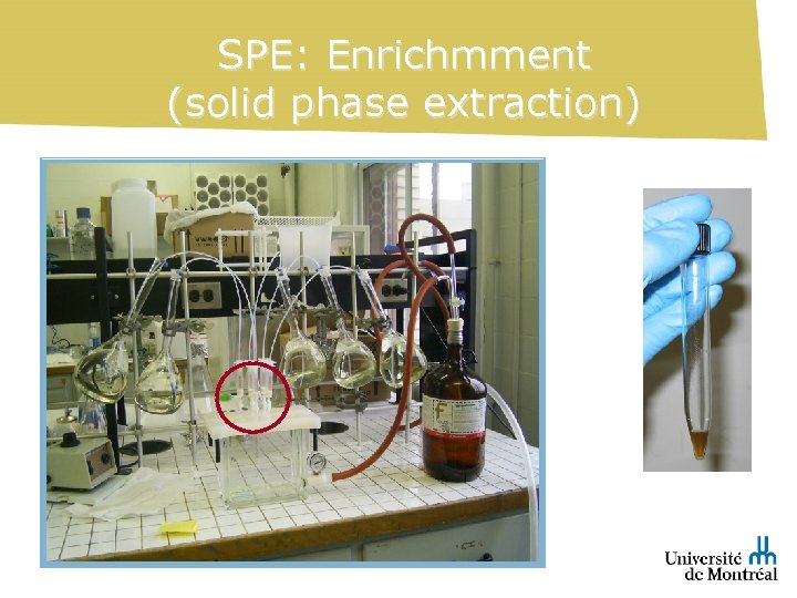 SPE: Enrichmment (solid phase extraction) 