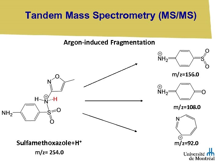 Tandem Mass Spectrometry (MS/MS) Argon-induced Fragmentation m/z=156. 0 m/z=108. 0 Sulfamethoxazole+H+ m/z= 254. 0