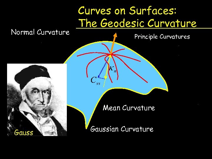 Normal Curvature Curves on Surfaces: The Geodesic Curvature Principle Curvatures Mean Curvature Gaussian Curvature