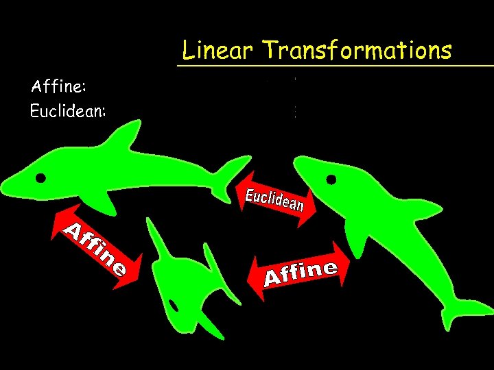 Linear Transformations Affine: Euclidean: 