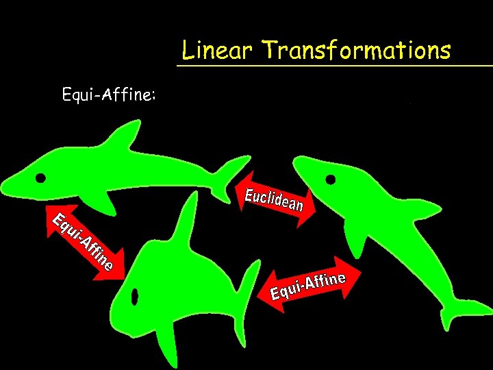 Linear Transformations Equi-Affine: 