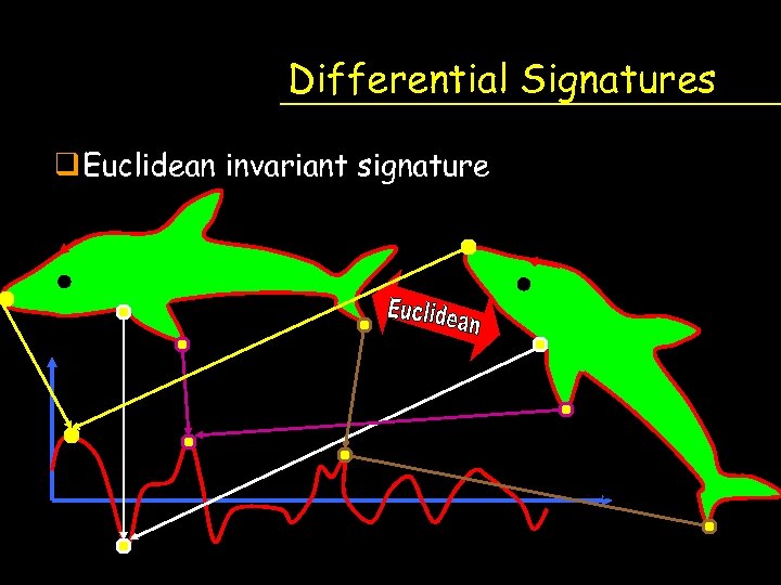 Differential Signatures q Euclidean invariant signature 