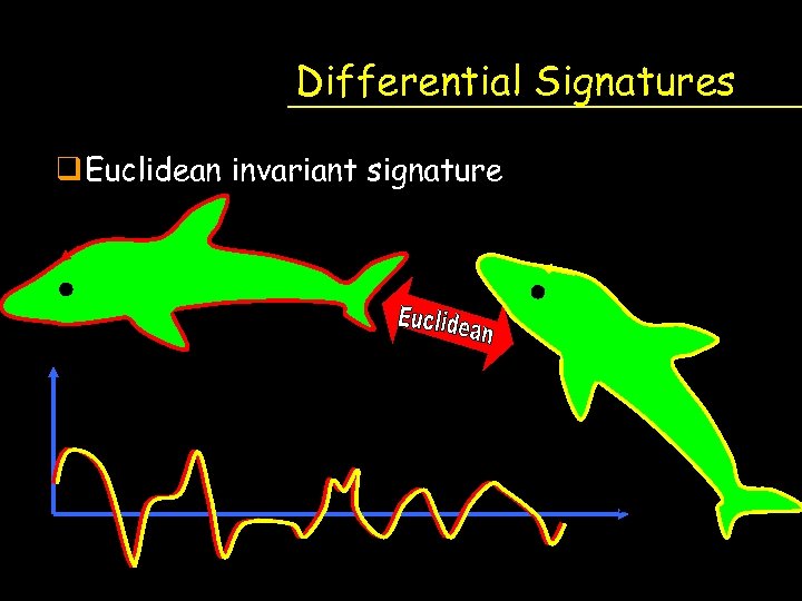 Differential Signatures q Euclidean invariant signature 