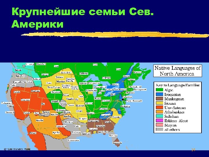 Крупнейшие семьи Сев. Америки 14 